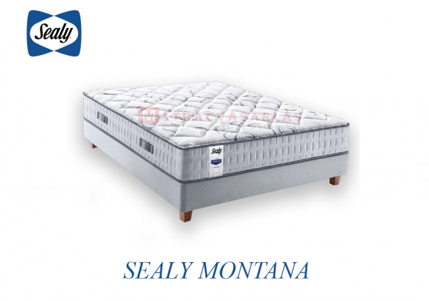 Sealy Montana 90*200
